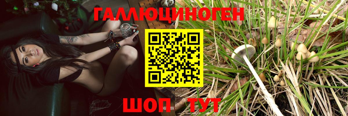 Мыски  Галлюциногенные грибы Magic Shrooms  Вход с VPN 