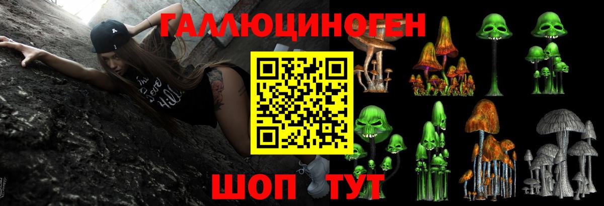 Псилоцибиновые грибы мицелий Мыски